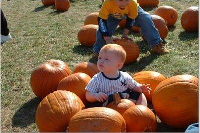 pumpkin2