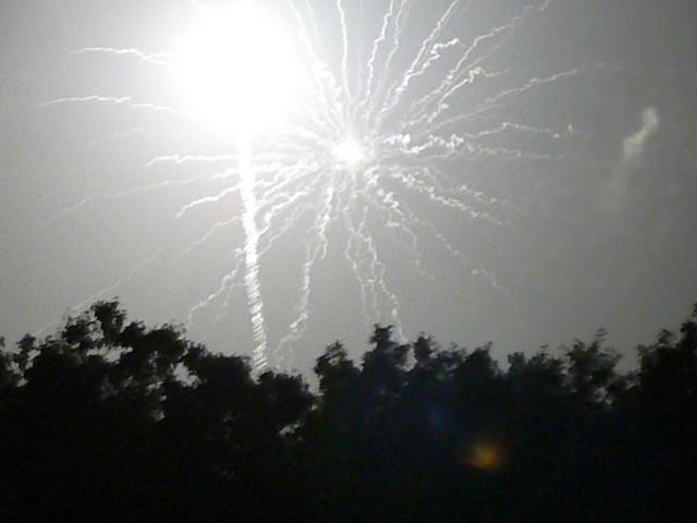 P1010992.jpg