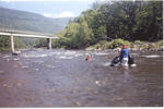 scan004.jpg