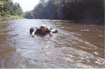 scan017.jpg