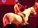 Of Montreal