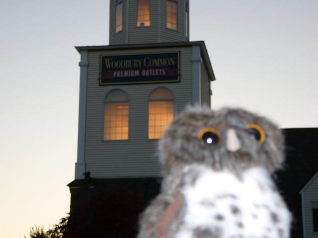 P1120447.jpg