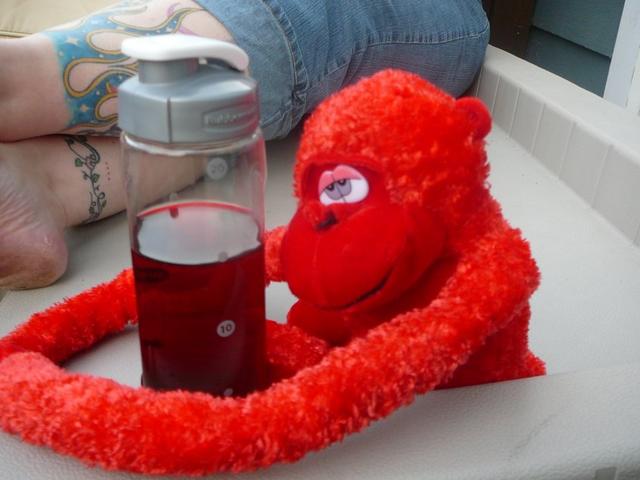 P1040989.jpg