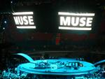 Muse
