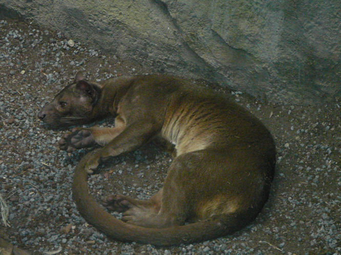 P1300724.JPG