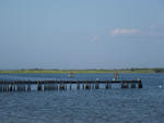 P1000002.JPG