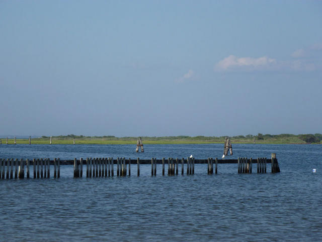 P1000002.JPG