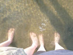 P1000004.JPG
