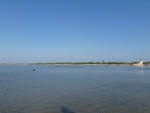 P1000005.JPG