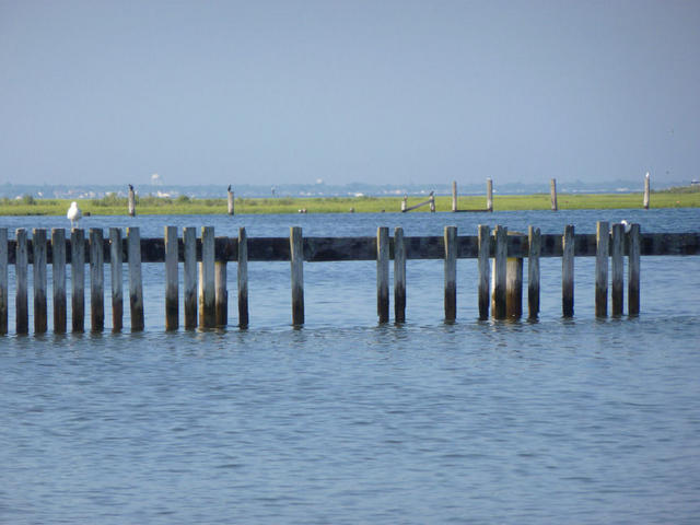 P1000011.JPG