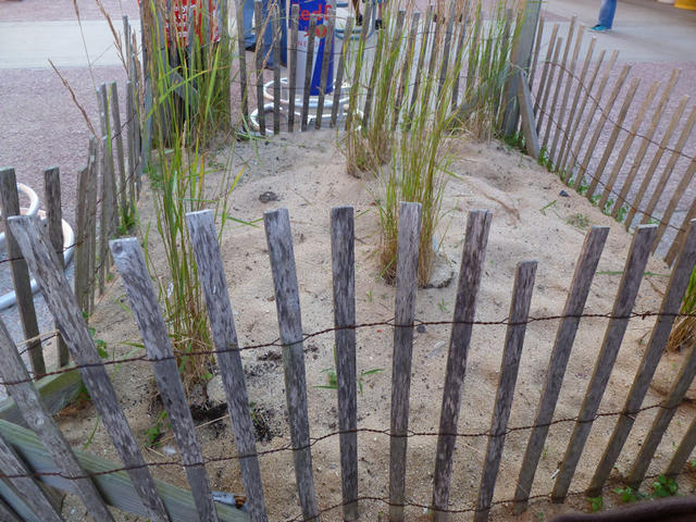 P1000020.JPG