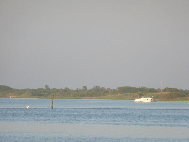 P1000034.JPG
