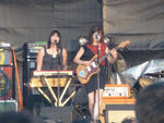 Wild Flag