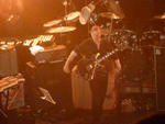 Swans