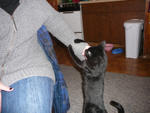 Picture 020.jpg