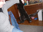 Picture 022.jpg
