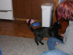 Picture 023.jpg