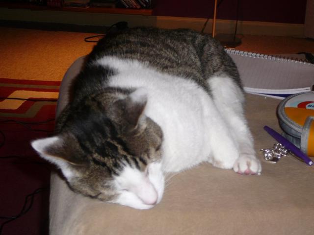P1070610.jpg