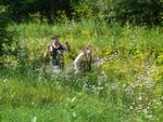 P1080242.jpg