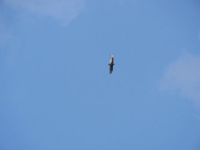 P1080251.jpg