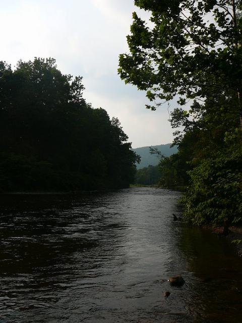 P1080274.jpg