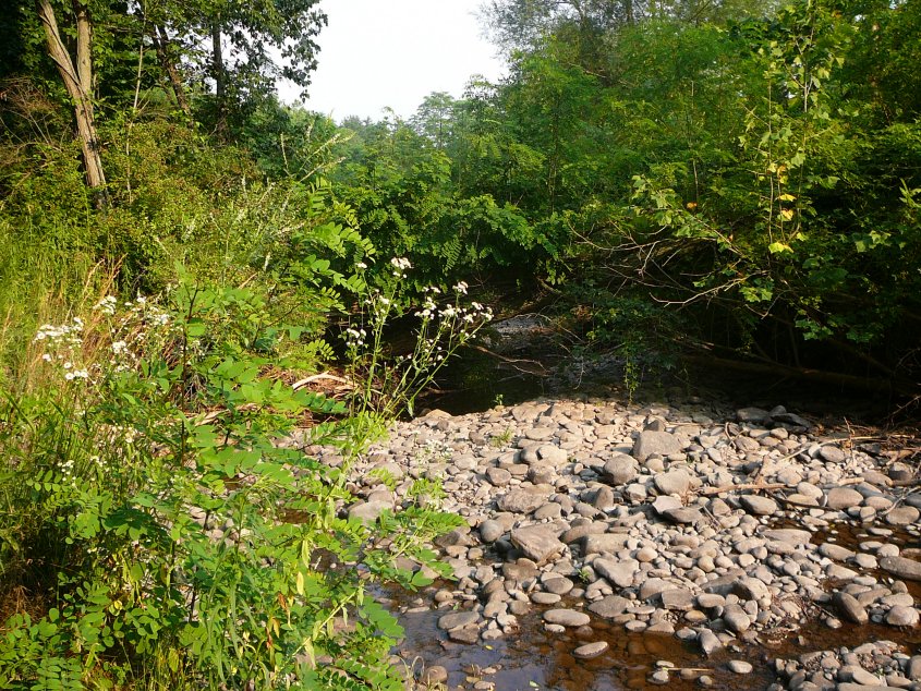 P1080275.jpg