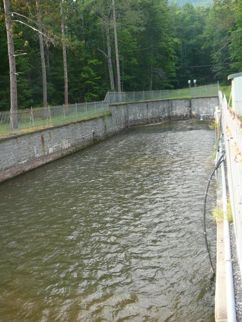 P1080278.jpg