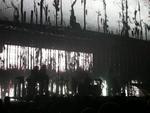 NIN