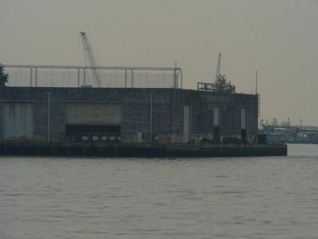 P1090482.jpg