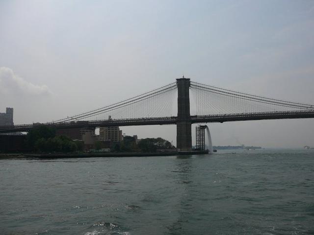 P1090524.jpg