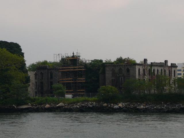 P1090566.jpg