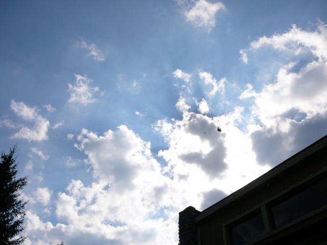 P1090957.jpg