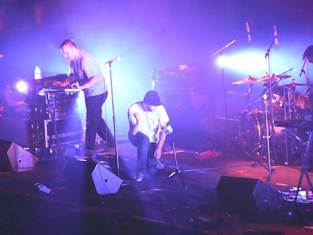 P1100006.jpg